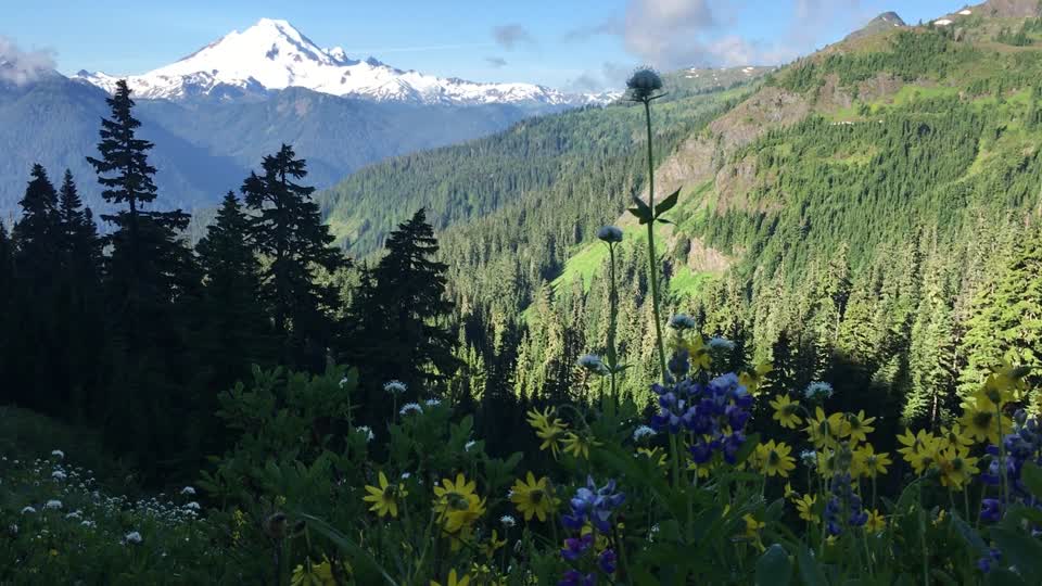 Mt. Baker from Yellow Aster Butte Trail