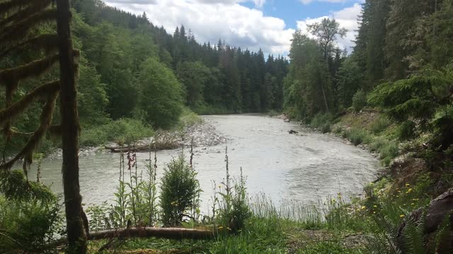 South Fork of the Stillaguamish River across from Verlot Public Service Center, Mt. Baker-Snoqualmie National Forest. Video taken by Holly Snarr June 17, 2020