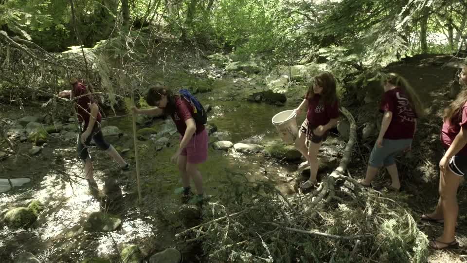 Children Collect Specimens for Study as a School Group