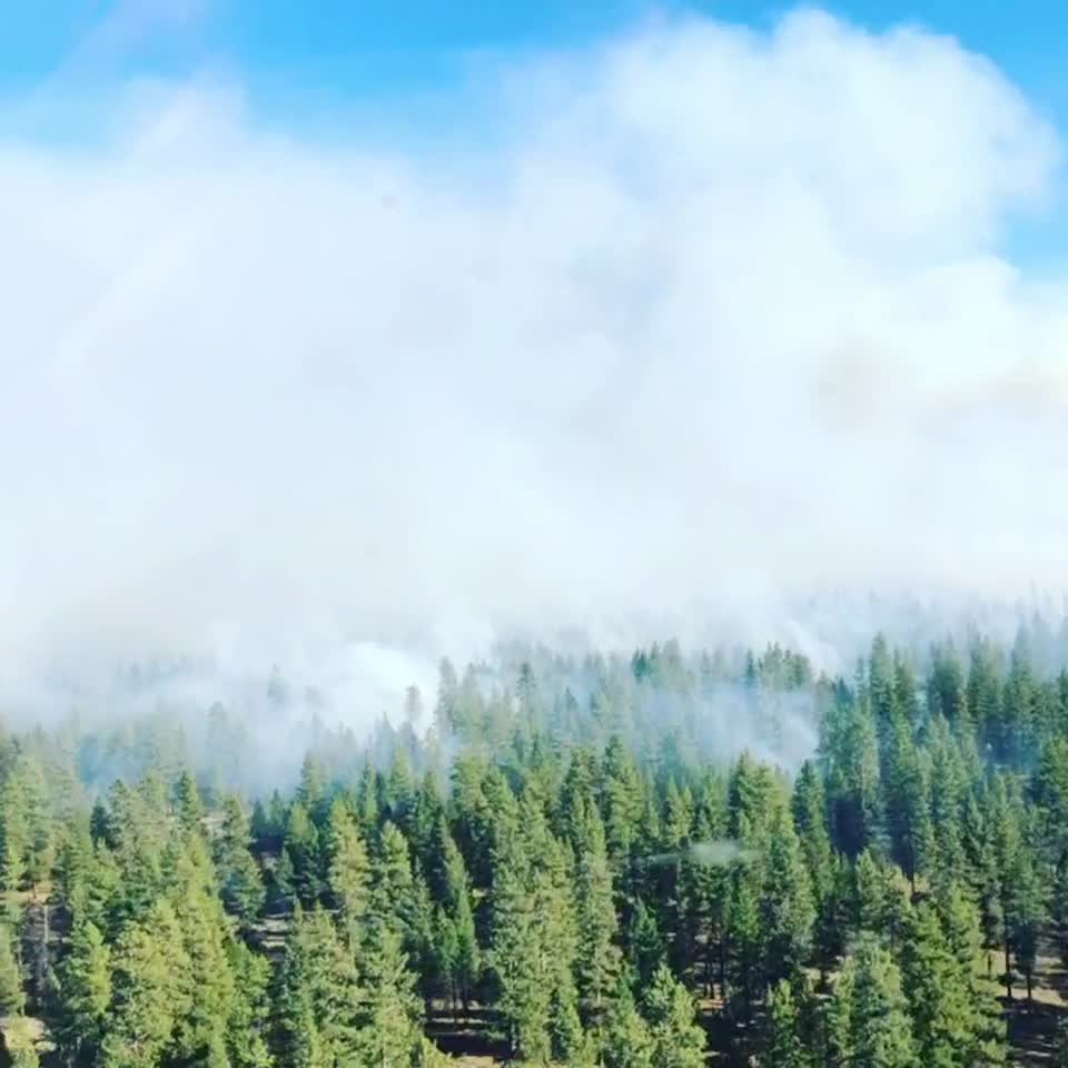 Smoke Billows within Forests Below Seen from a Helicopter