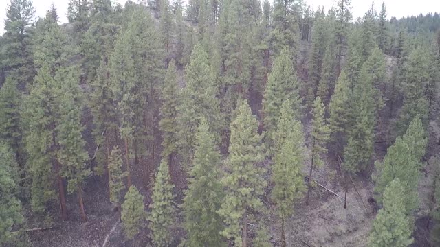 Ochoco Ranger Station 1