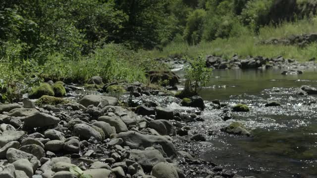 A Small Stream Flows Across Weathered Stones Sending Sparkling Sunlight