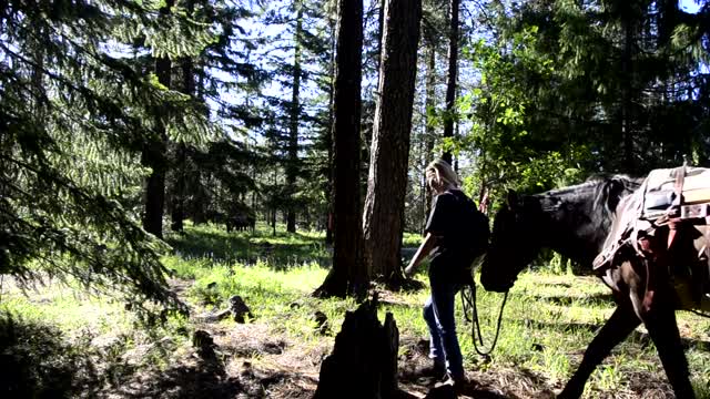 WILDERNESS SURVIVAL-Leading Pack Horses to Work Location