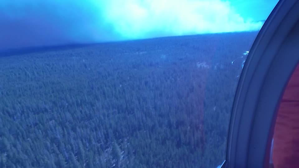 A Vast Stretch of Forest with a Smokey Horizon Seen from a Helicopter