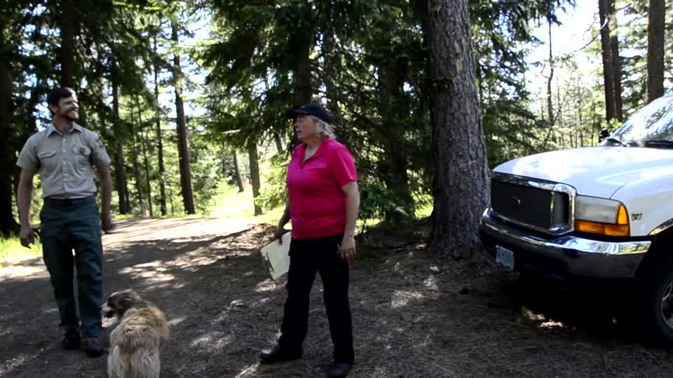 WILDERNESS SURVIVAL-Explaining Why Caring for Pack Horses is important