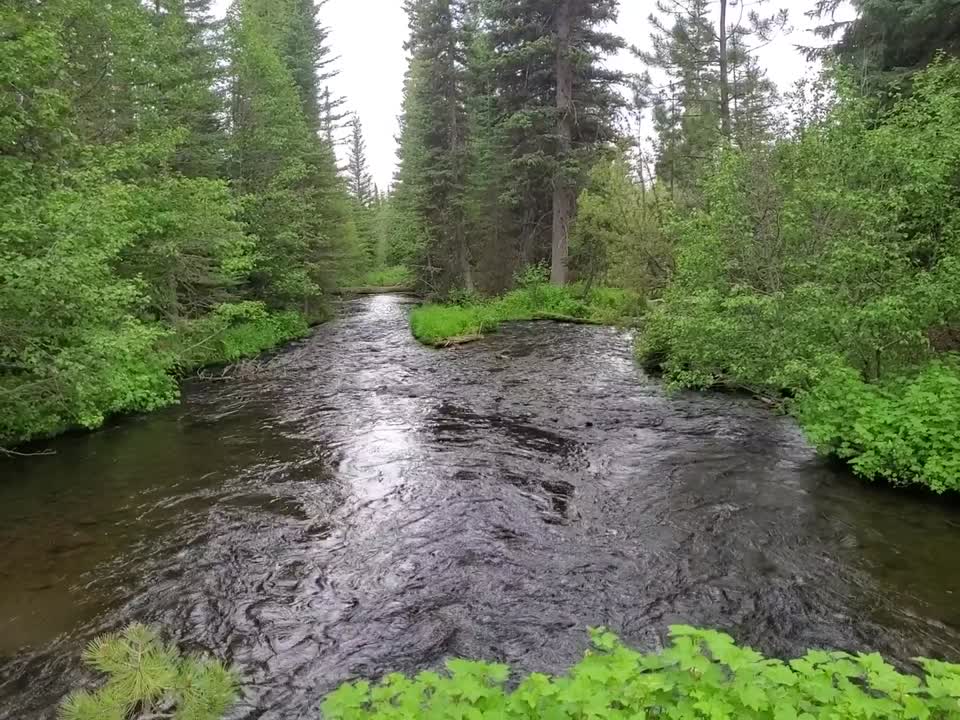 Malheur National Forest Big Creek on the South Side of Strawberry Mountain