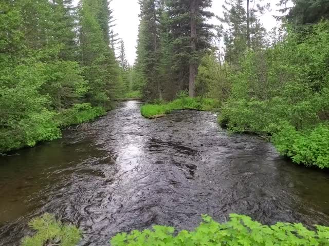 Malheur National Forest Big Creek on the South Side of Strawberry Mountain