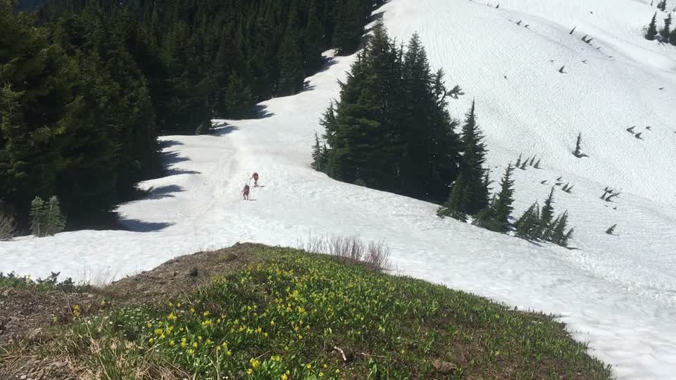 Hikers Walk Up a Snowy Hillside - B Roll
