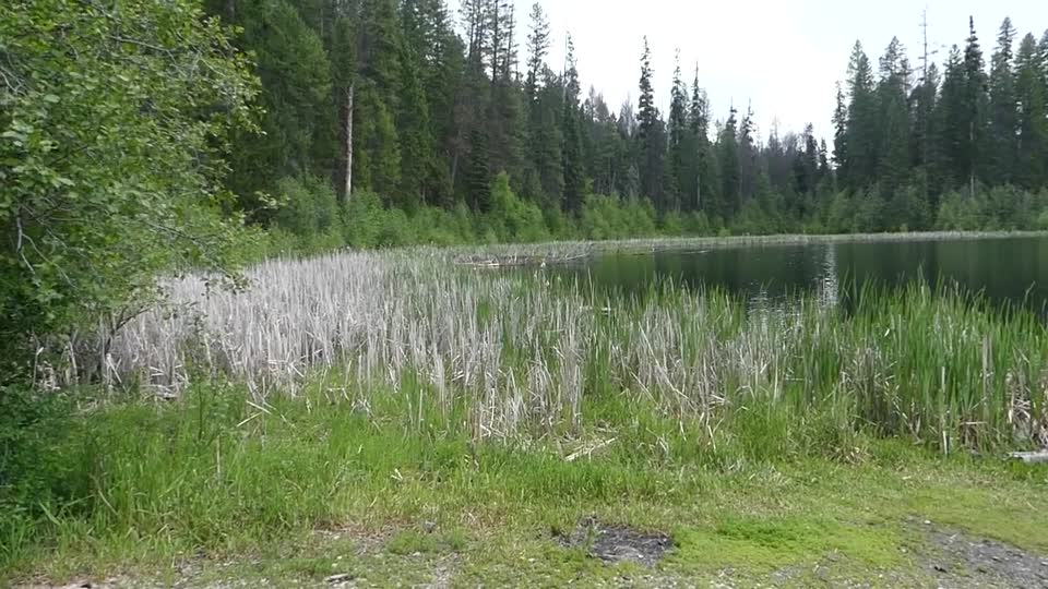CNF Ferry Lake B-roll by Shar Puckett