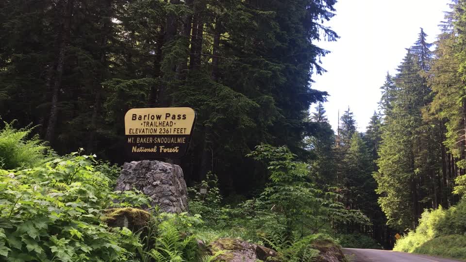 Barlow Pass Trailhead, Mt. Baker-Snoqualmie National Forest. Video by Holly Snarr June 26, 2020