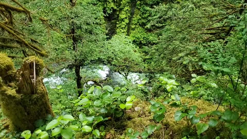 Clear Creek Canyon from Frog Lake Trail Mt. Baker-Snoqualmie National Forest June 2020 Matthew Riggen