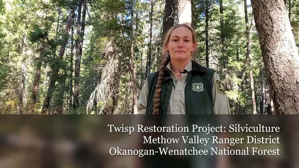 Twisp River Silviculture Oct 2020