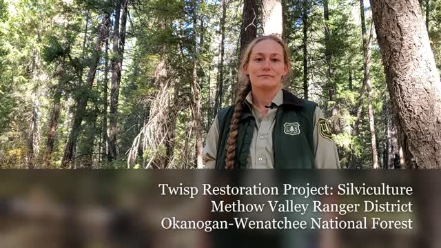 Twisp River Silviculture Oct 2020