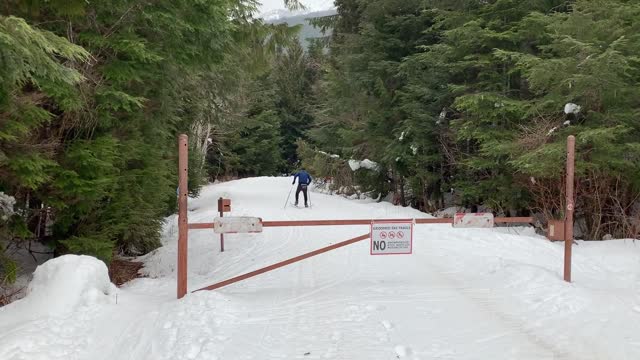 20210304_Cross_Country_Skiing_by_Magenta-Widner