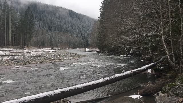 20210214_North_Fork_Nooksack_River_by_Magenta_Widner