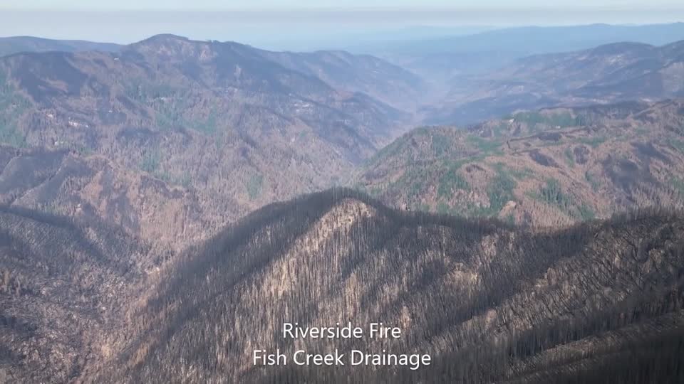 Riverside Fire Fish Creek drainage, Mt. Hood National Forest