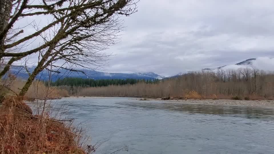 Sauk River near the confluence with Suiattle River. Video by Anne Vassar November 23, 2020.