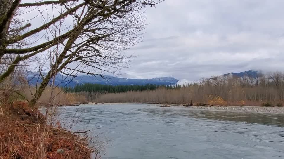 Sauk River near the confluence with Suiattle River. Video by Anne Vassar November 23, 2020.