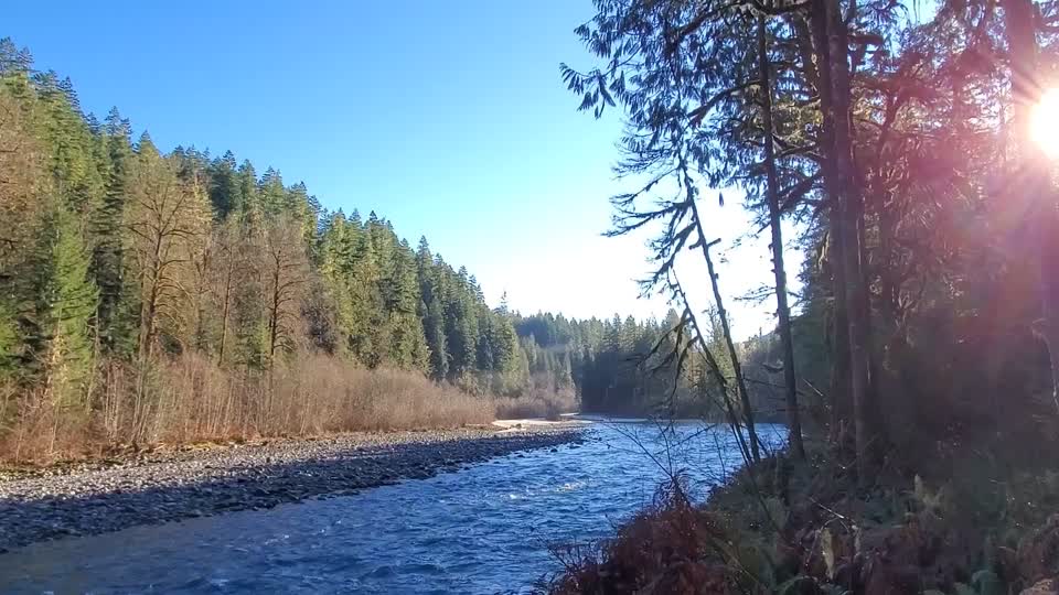 Autumn morning walk along the Old Sauk Trail, Mt. Baker-Snoqualmie National Forest. Video by Anne Vassar December 2, 2020.