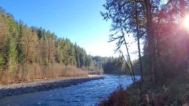 Autumn morning walk along the Old Sauk Trail, Mt. Baker-Snoqualmie National Forest. Video by Anne Vassar December 2, 2020.
