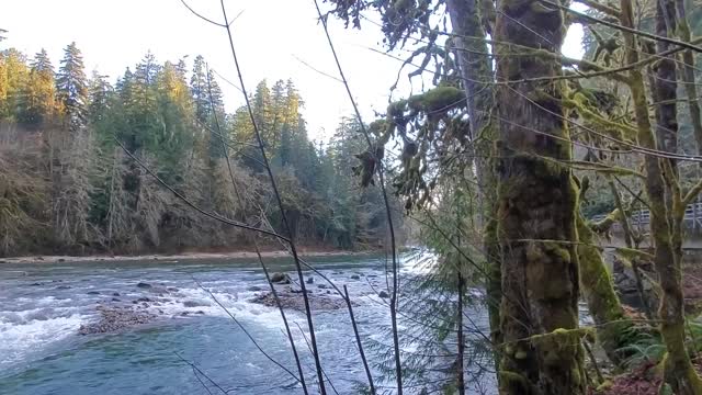 Sauk River near confluence with Clear Creek, Mt. Baker-Snoqualmie National Forest. Video by Anne Vassar December 3, 2020.