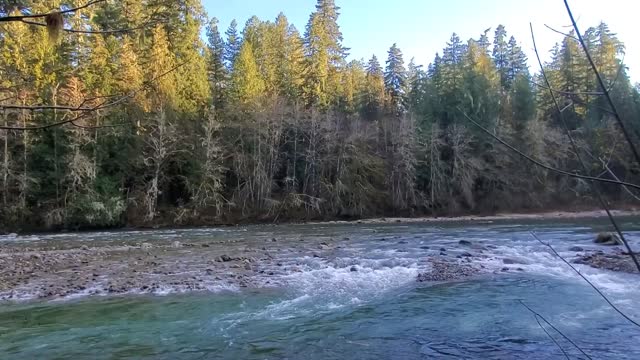 Sauk River near confluence with Clear Creek, Mt. Baker-Snoqualmie National Forest. Video by Anne Vassar December 3, 2020.