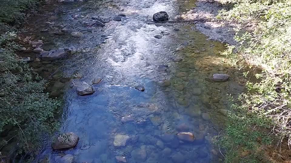 Sauk River near Bedal campground, Mt. Baker-Snoqualmie National Forest. Video by Anne Vassar Sept. 13, 2021.