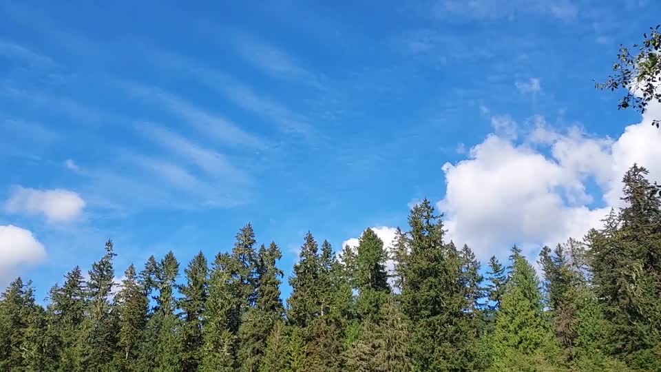 Sauk River at Clear Creek confluence, Mt. Baker-Snoqualmie National Forest. Video by Anne Vassar Sept. 13, 2021.