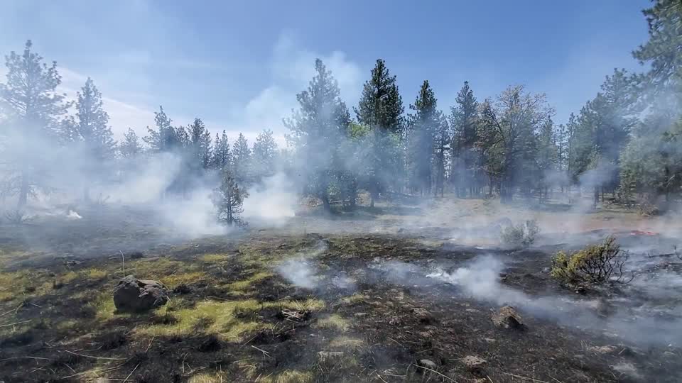 Prescribed burn on Barlow Ranger District, Mt. Hood National Forest