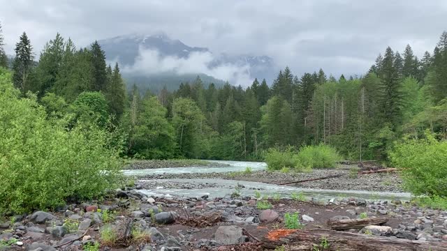 20210526_Rainy day in the North Cascades