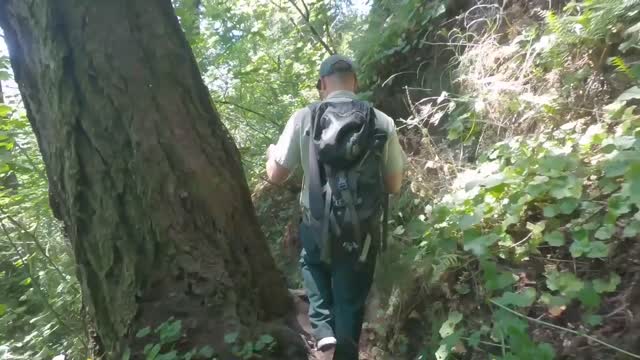 Brush Your Boots; Learn how YOU can protect the Gorge from these tricky weed seeds w/ Biological Science Technician Katie Santinti.