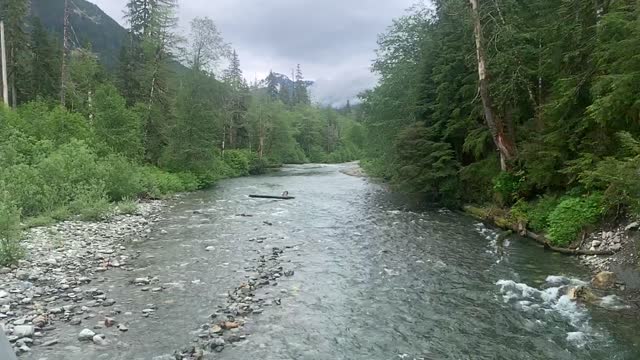 Stillaguamish River at Big 4, Mt. Baker-Snoqualmie National Forest. Video by Sydney Corral June 28, 2021