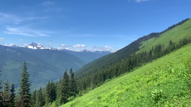 Green Mountain Trail, Mt. Baker-Snoqualmie National Forest. Video by Sydney Corral June 28, 2021