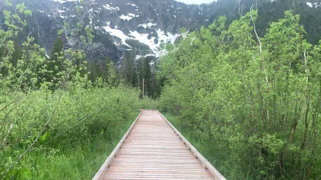 Big Four, Mt. Baker-Snoqualmie National Forest. Video by Sydney Corral June 28, 2021