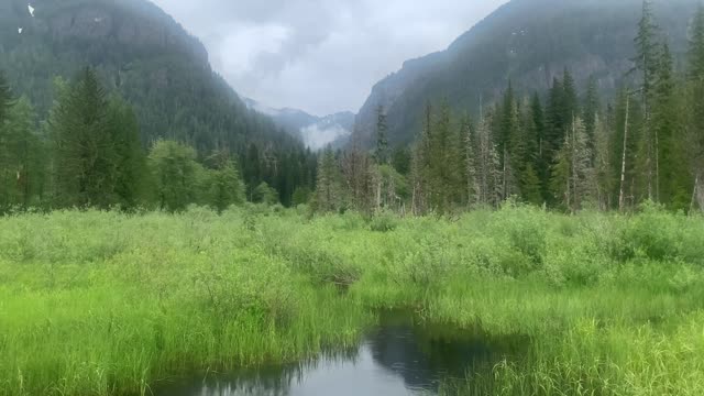 Big Four, Mt. Baker-Snoqualmie NAtional FOrest, Video by Sydney Corral June 18, 2021