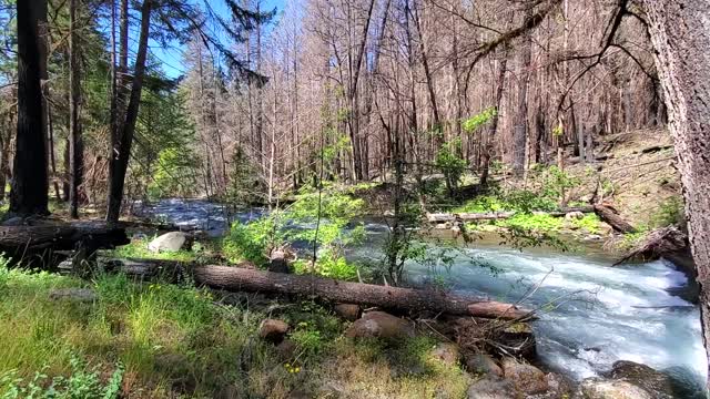 Clackamas River on Mt. Hood National Forest