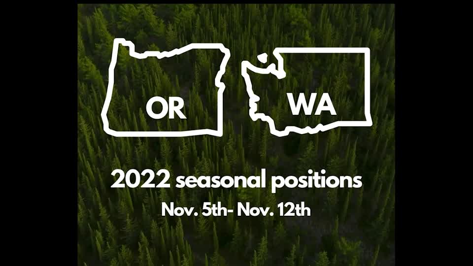 2021 Temporary Hiring Jobs announcement PSA in Spanish