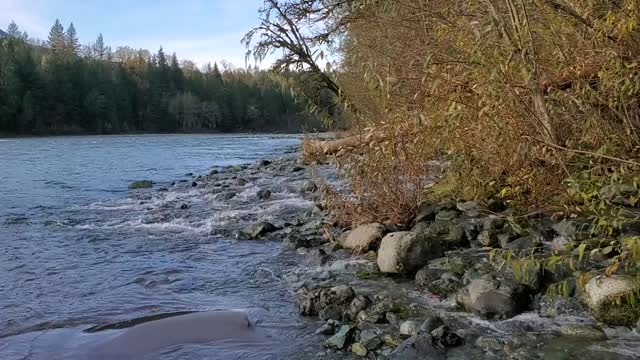 White Creek Sauk River Mt. Baker-Snoqualmie National Forest Matt Riggen November 8, 2021