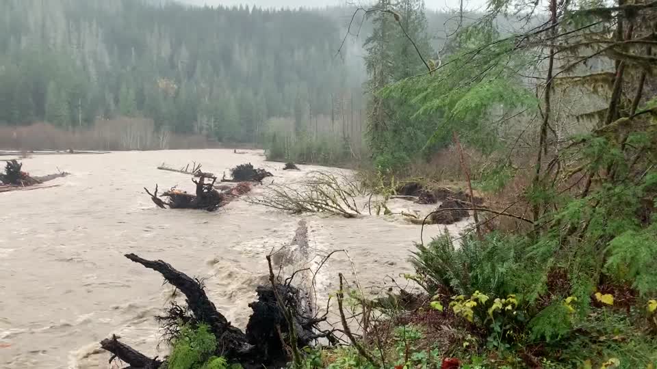 NorthForkNooksackFlooding_20211115