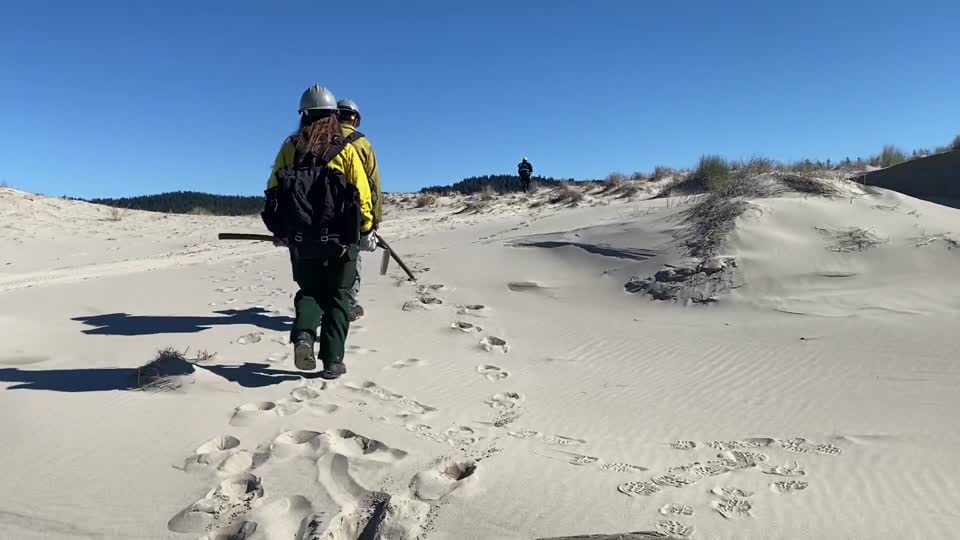 Siuslaw Oregon Dunes Prescribed Burn 2022