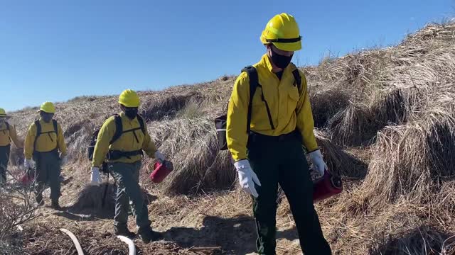 Siuslaw Oregon Dunes Prescribed Burn 2022
