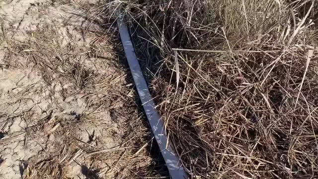 Siuslaw Oregon Dunes Prescribed Burn 2022