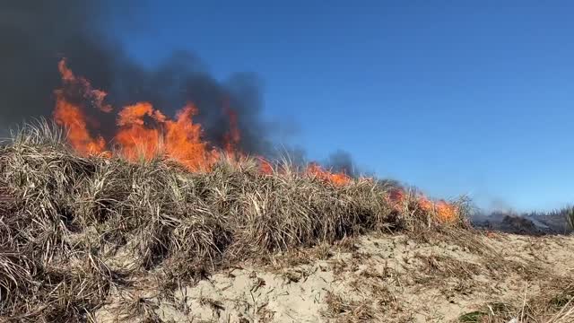 Siuslaw Oregon Dunes Prescribed Burn 2022