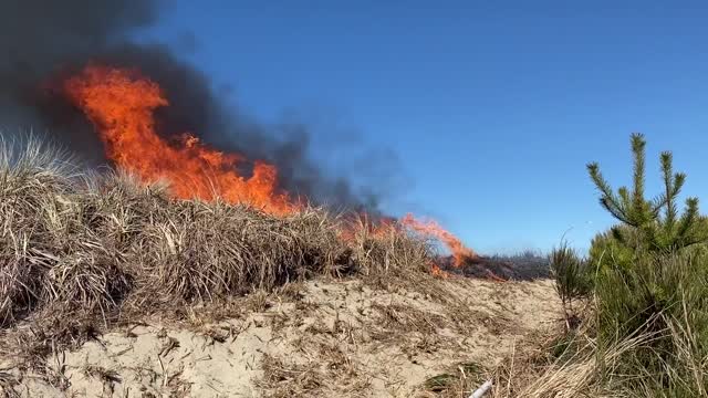 Siuslaw Oregon Dunes Prescribed Burn 2022