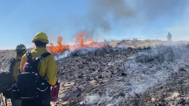 Siuslaw Oregon Dunes Prescribed Burn 2022