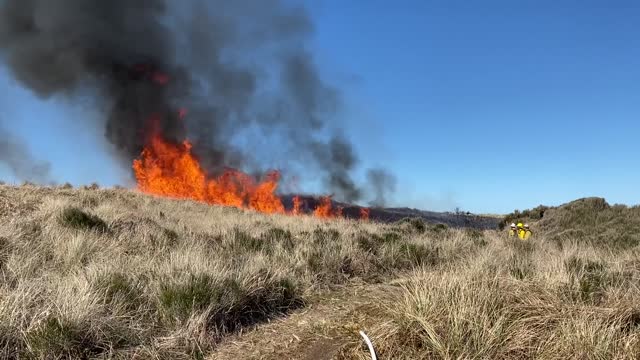 Siuslaw Oregon Dunes Prescribed Burn 2022