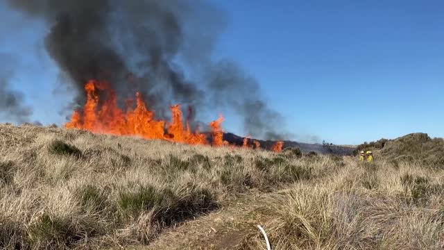 Siuslaw Oregon Dunes Prescribed Burn 2022