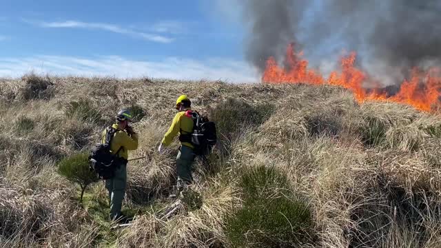 Siuslaw Oregon Dunes Prescribed Burn 2022