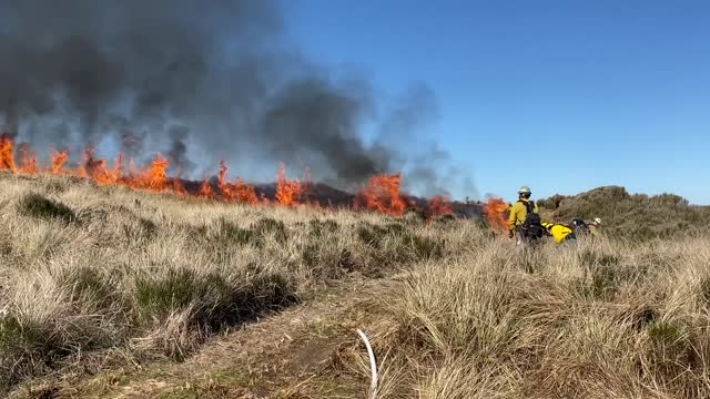 Siuslaw Oregon Dunes Prescribed Burn 2022