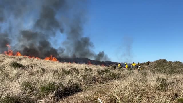 Siuslaw Oregon Dunes Prescribed Burn 2022